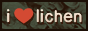 i love lichen